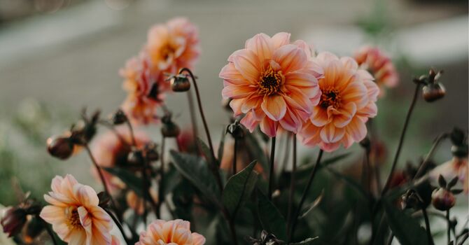 Do you feel Helpless in today's world? You may be less Alone than you think!