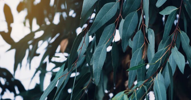 Do you feel Helpless in today's world? You may be less Alone than you think!