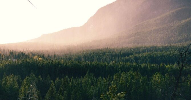 Do you feel Helpless in today's world? You may be less Alone than you think! image