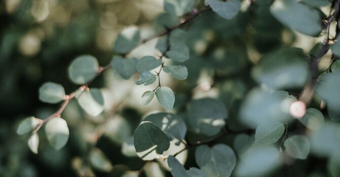 You Don’t have a Weight, Eating, or Exercise Problem!