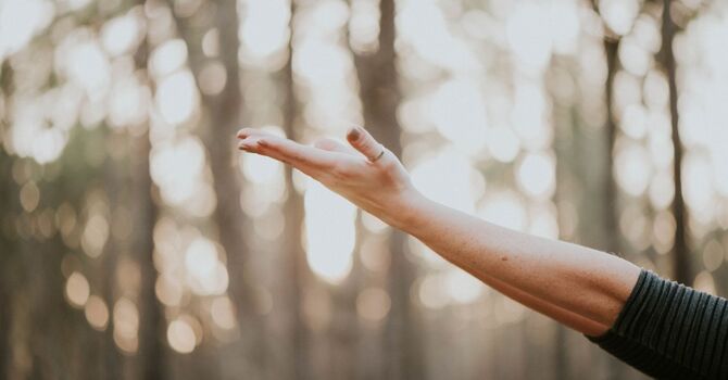 You Don’t have a Weight, Eating, or Exercise Problem!