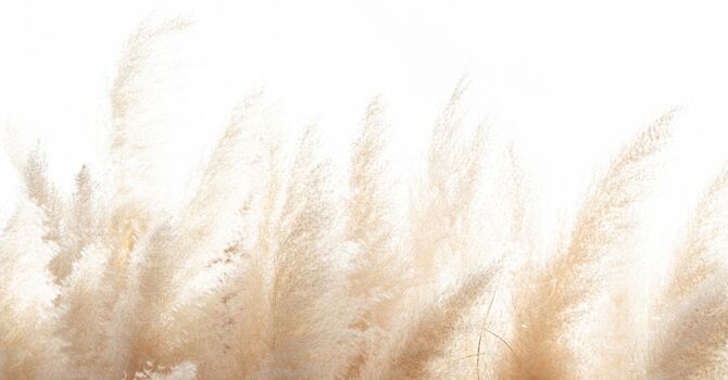 Individual, Couples, & Family Virtual Therapy Services