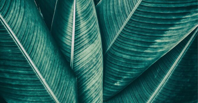 Have You Ever Felt Embarrassed or Ashamed for Being You? image